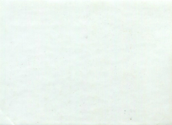 1989 Chrysler Bright White